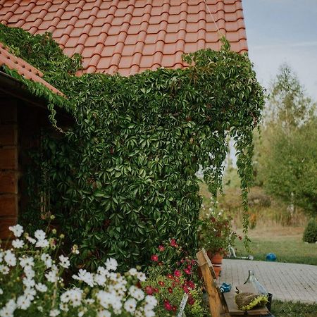 Dom Goscinny Sowia Stopka Miłomłyn Exteriér fotografie