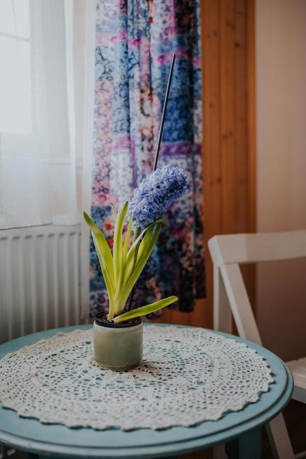Dom Goscinny Sowia Stopka Miłomłyn Exteriér fotografie