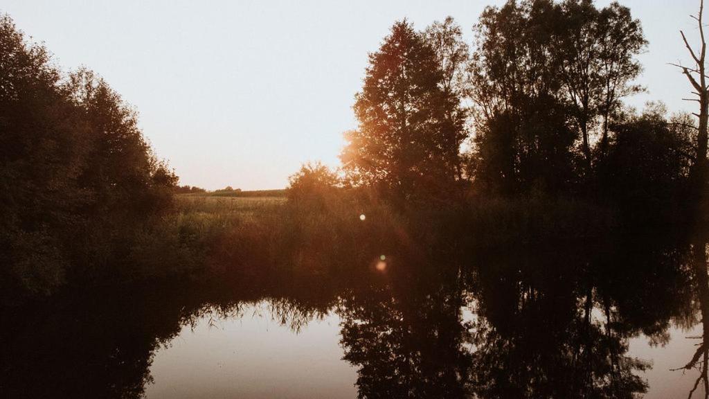 Dom Goscinny Sowia Stopka Miłomłyn Exteriér fotografie