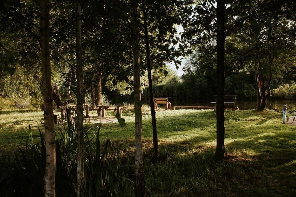 Dom Goscinny Sowia Stopka Miłomłyn Exteriér fotografie