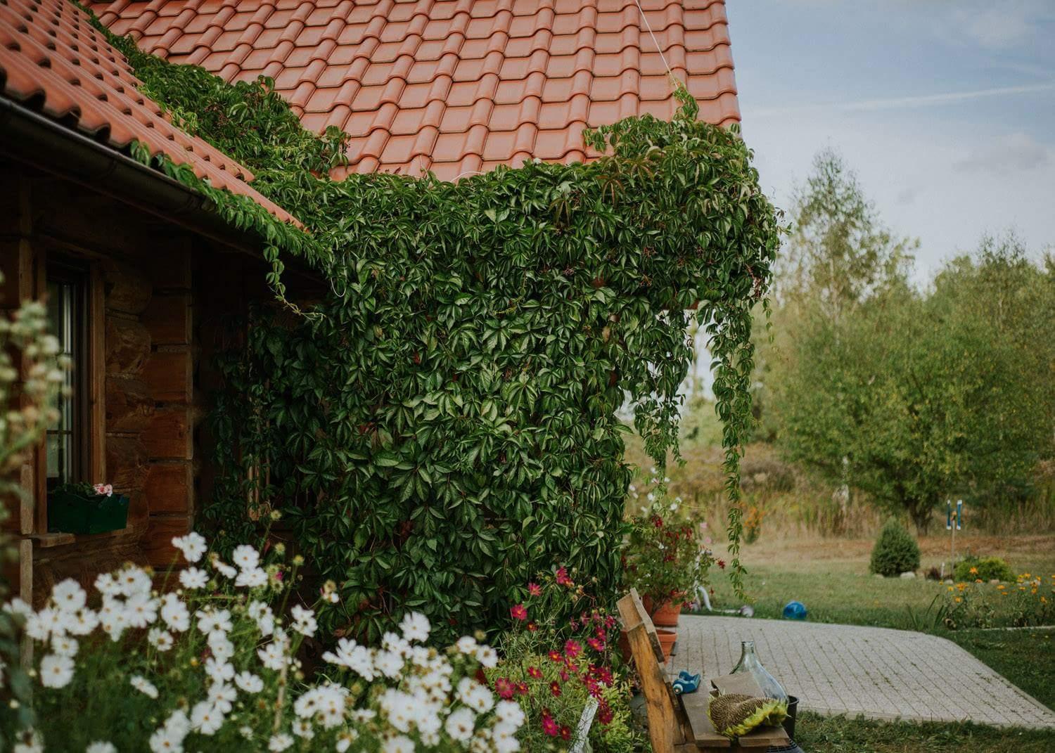 Dom Goscinny Sowia Stopka Miłomłyn Exteriér fotografie